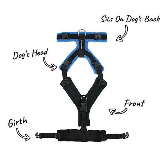 perfect fit harness stockists